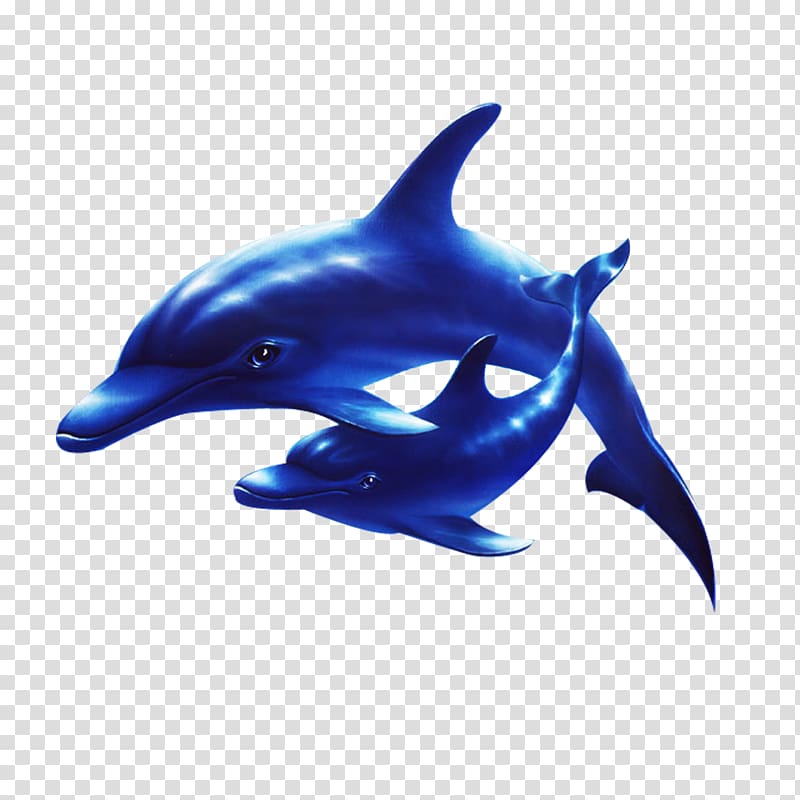 Dolphin Sea , Submarine Dolphins transparent background PNG clipart