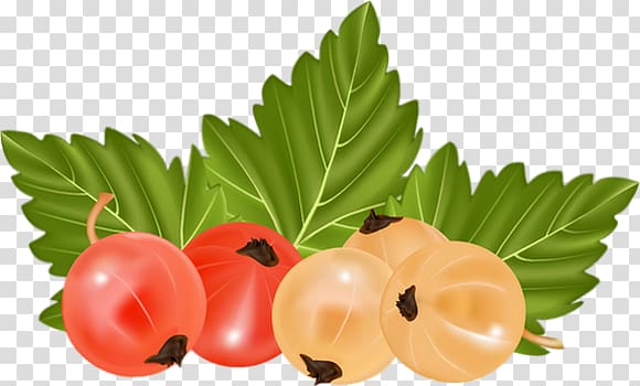 Gooseberry White currant Redcurrant Blackcurrant, juice transparent background PNG clipart