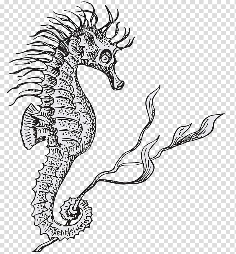 Lined seahorse Hippocampus Illustration, Black and white sketch of the seahorse monster transparent background PNG clipart
