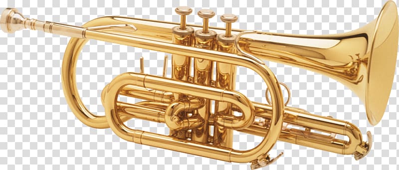 Trumpet Musical instrument, Trumpet transparent background PNG clipart