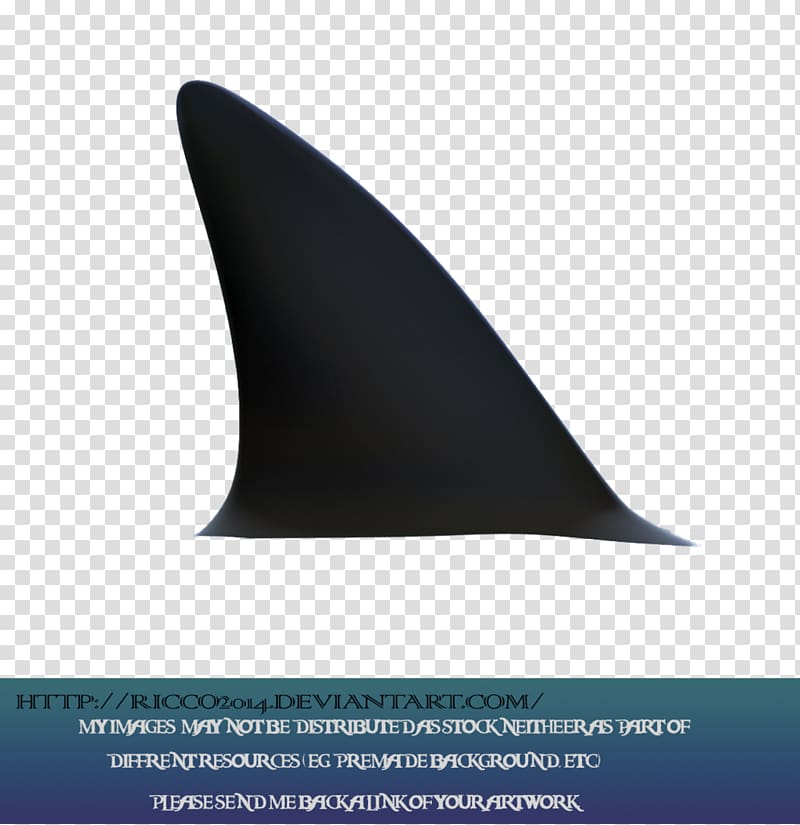 Shark fin soup Shark finning Great white shark, sharks transparent background PNG clipart