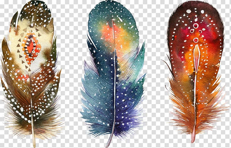 three assorted-color feathers painting, Watercolor painting Feather Drawing Poster, Fancy feathers transparent background PNG clipart