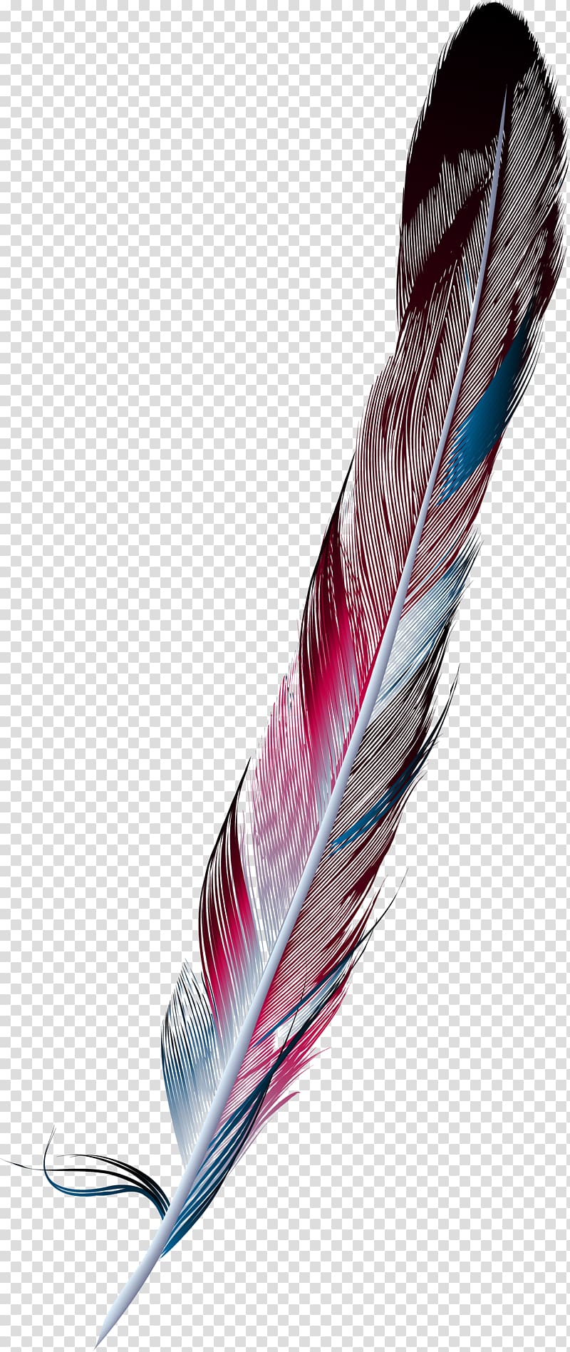 Premium Photo | A colorful feather painting with the word feathers on it