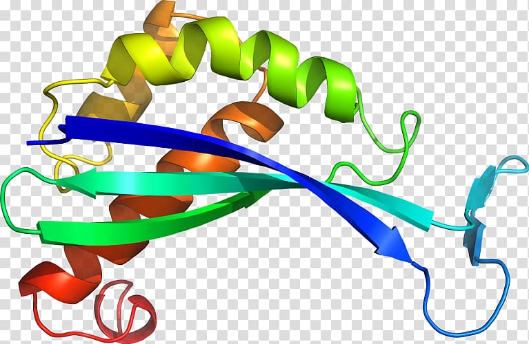 Line , phospholipase a2 transparent background PNG clipart