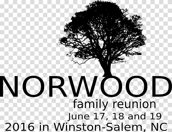 Quercus cerris Tree Southern live oak Scarlet oak Acorn, family reunion transparent background PNG clipart