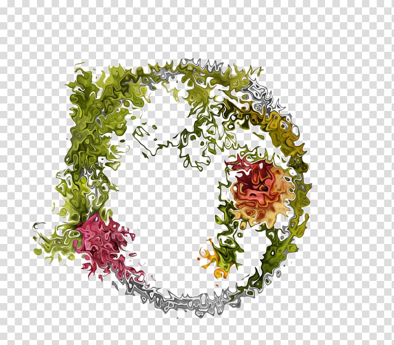 Floral design Frames Art, Vo transparent background PNG clipart