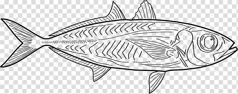 Line art Drawing , line art fishing transparent background PNG clipart