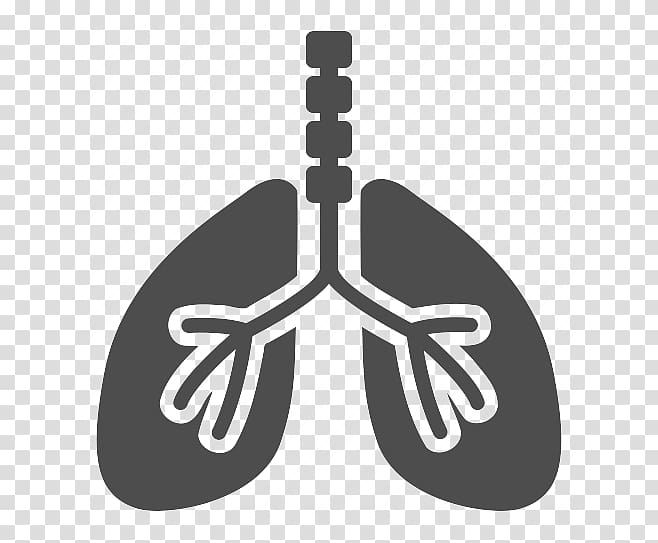 graphics Lung Respiratory system Illustration Respiration, cervicogenic headache transparent background PNG clipart