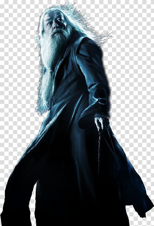 Harry Potter and the Half-Blood Prince Lord Voldemort Film Harry Potter and the Chamber of Secrets, potter transparent background PNG clipart