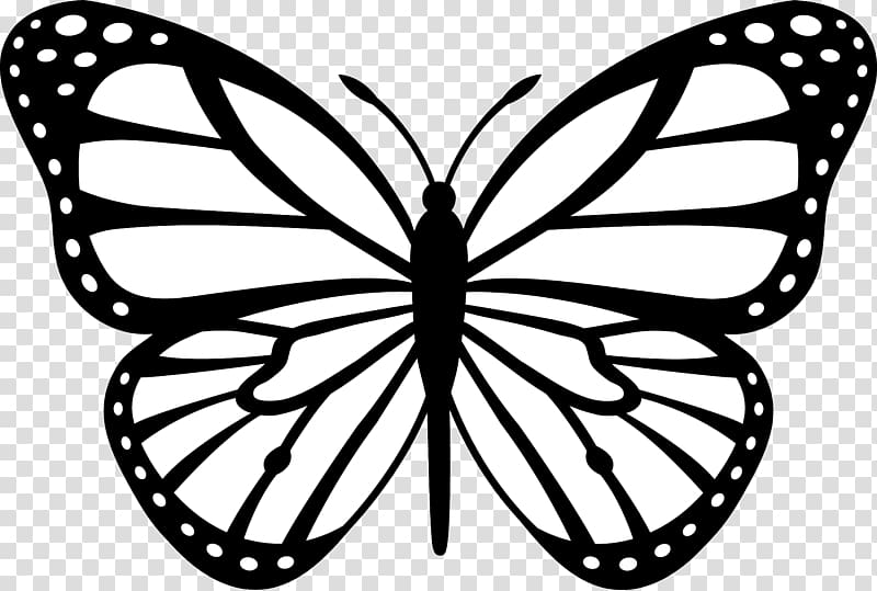 Monarch butterfly Insect Outline , Black And White Drawings Of Animals transparent background PNG clipart