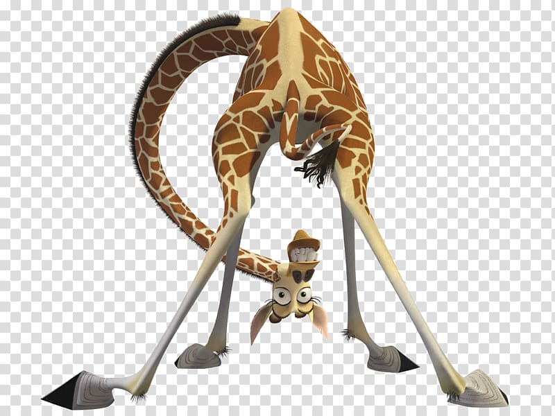 Melman Alex Gloria Giraffe Madagascar, shrek transparent background PNG clipart