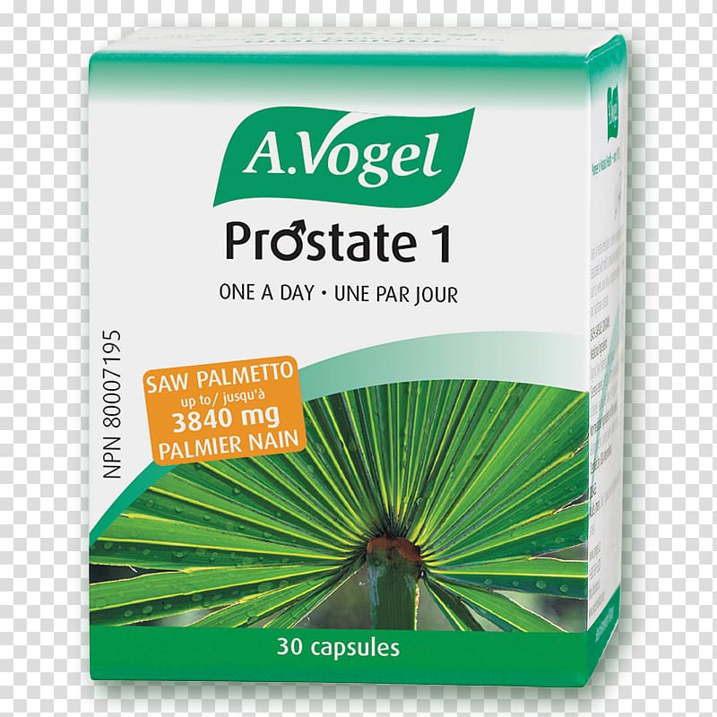 Benign prostatic hyperplasia Capsule Saw palmetto Prostate Dietary supplement, tablet transparent background PNG clipart