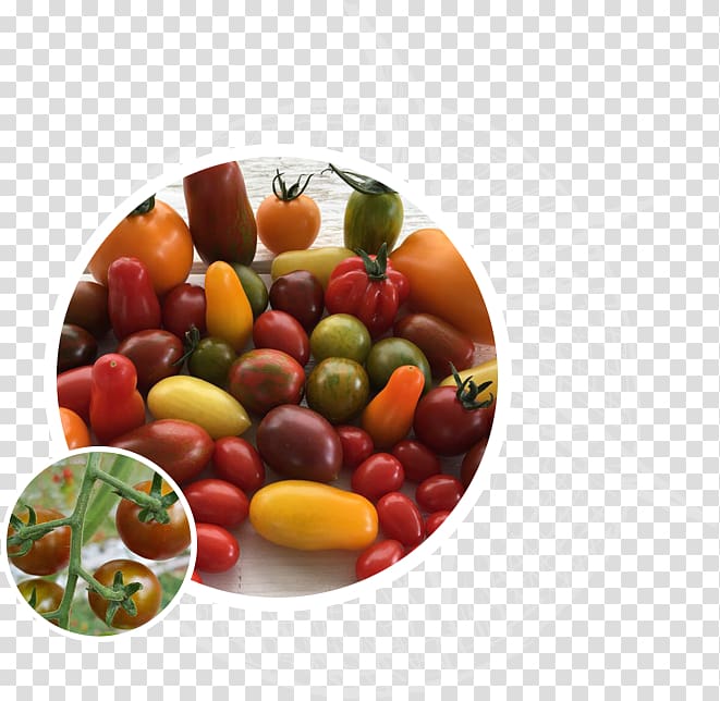 Vegetable Beefsteak tomato Food Fruit, vegetable transparent background PNG clipart