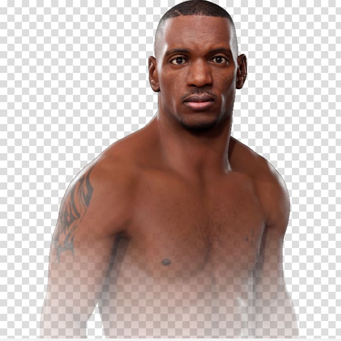 Fabricio Werdum EA Sports UFC 3 Ultimate Fighting Championship Mixed martial arts weight classes, mixed martial arts transparent background PNG clipart