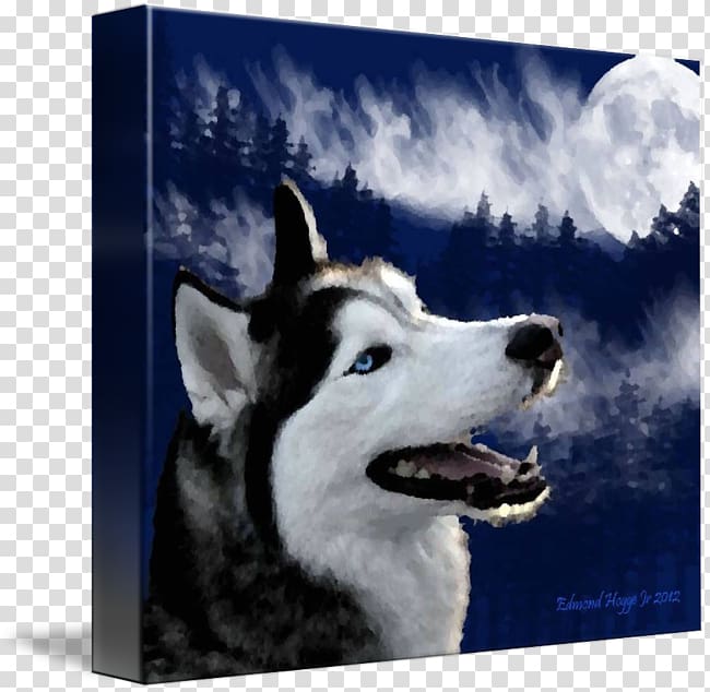 Siberian Husky Sakhalin Husky Alaskan Malamute Canadian Eskimo dog Seppala siberian sleddog, Alaskan Husky transparent background PNG clipart