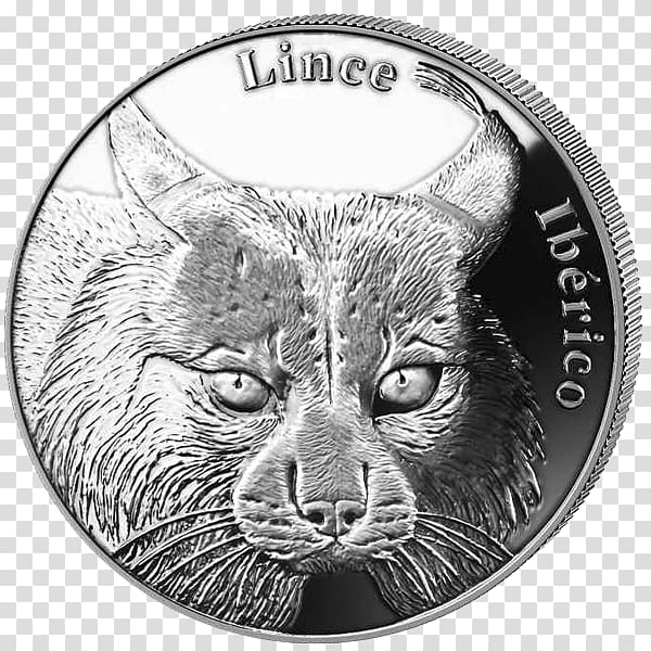 Euro coins Iberian Peninsula Whiskers Iberian lynx, iberian lynx transparent background PNG clipart