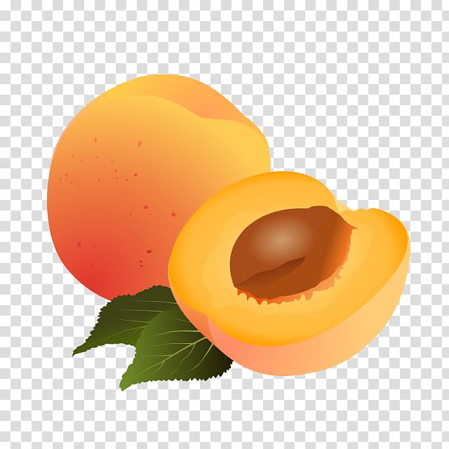 Apricot Drawing Fruit , Fruit Ninja transparent background PNG clipart