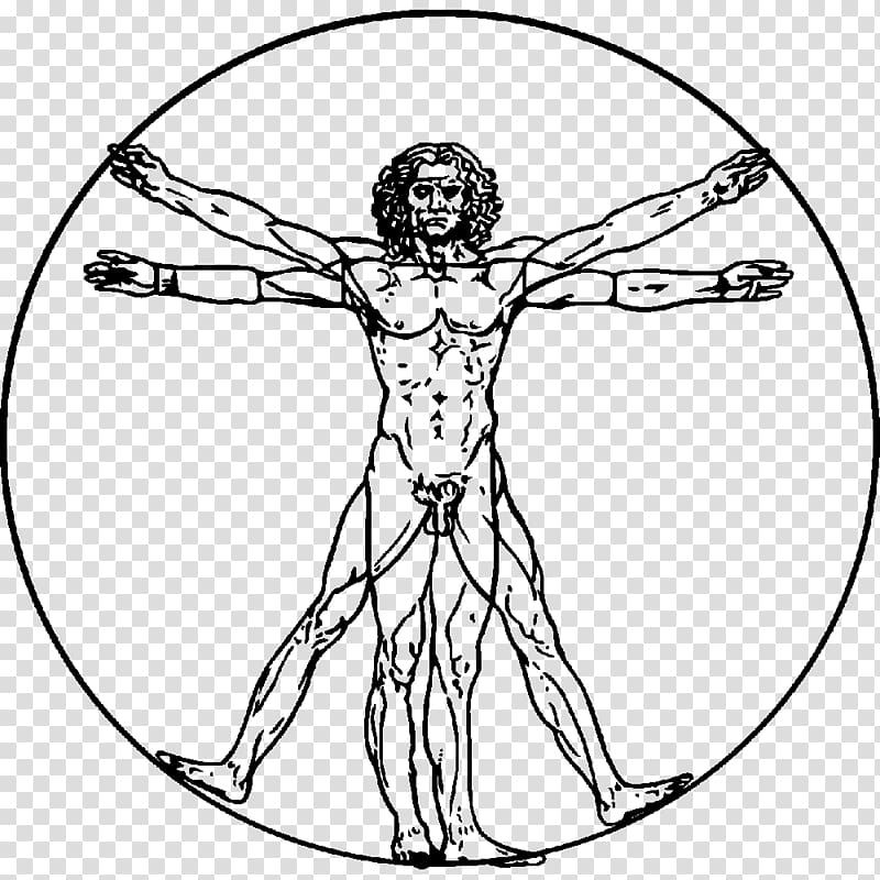 Leonardo Da Vinci Vitruvian Man Drawing