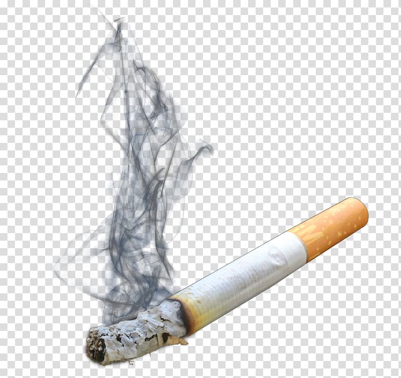 Cigarette, Cigarette Tobacco pipe, Smoking Cigarette transparent background  PNG clipart | HiClipart