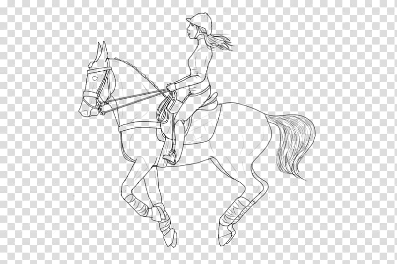 American Paint Horse Pony Line art Horse Tack Rearing, horse riding transparent background PNG clipart