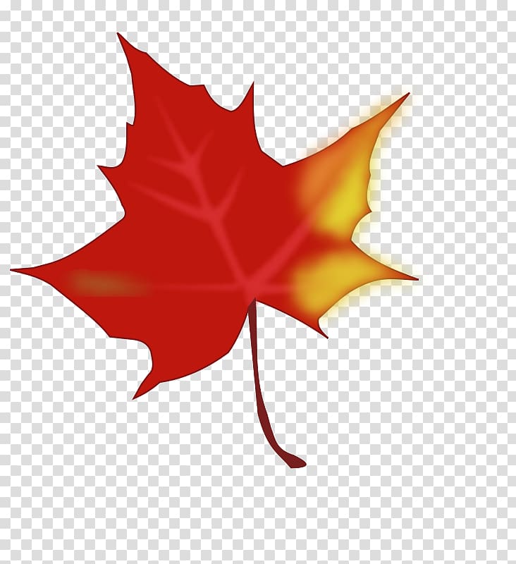 Autumn leaf color Red maple , Cartoon Fall Leaf transparent background PNG clipart