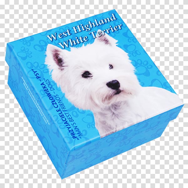 West Highland White Terrier Puppy Dog breed, puppy transparent background PNG clipart