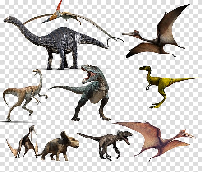 assorted dinosaurs illustration, Tyrannosaurus Diplodocus Dinosaur Apatosaurus Anchiceratops, All kinds of dinosaurs transparent background PNG clipart