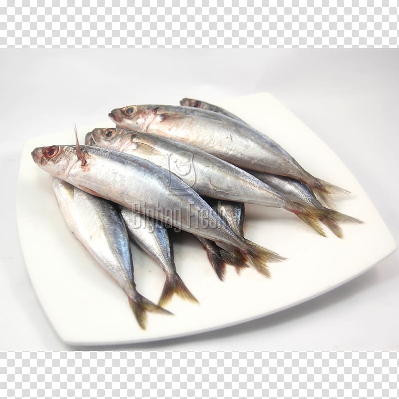 Sardine Kipper Pacific saury Fish products Blackfin scad, fish transparent background PNG clipart