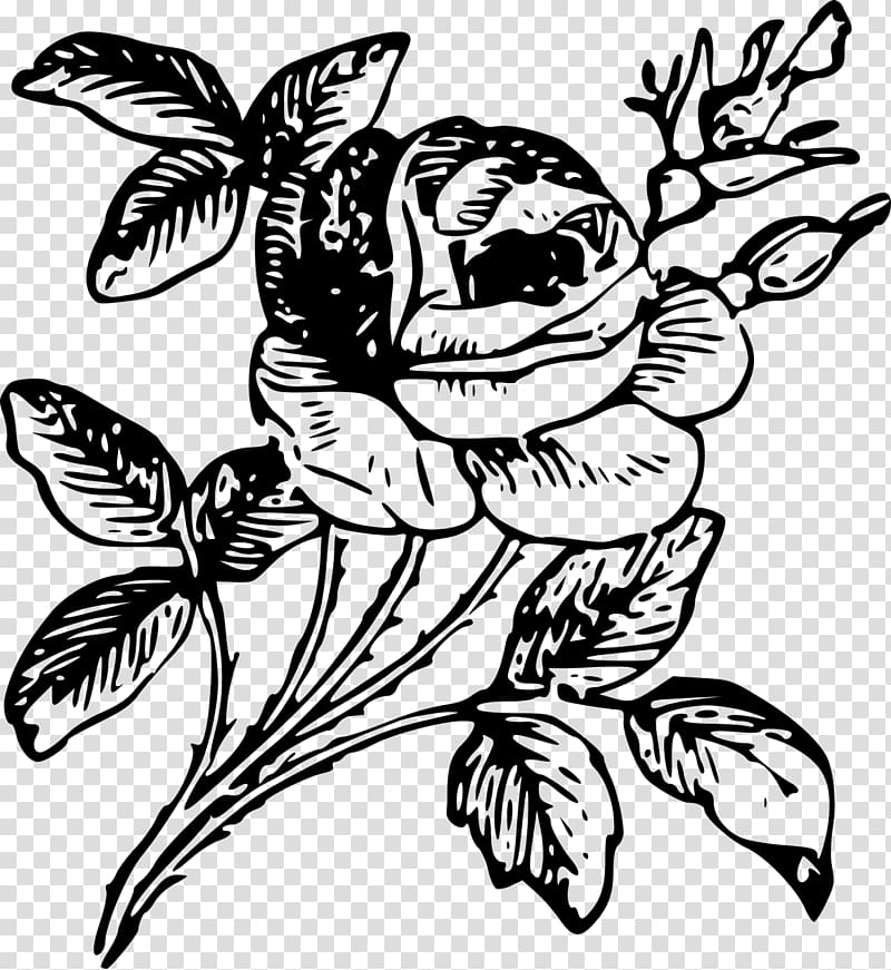 Rose Engraving Etching Flower, rose tattoo transparent background PNG clipart