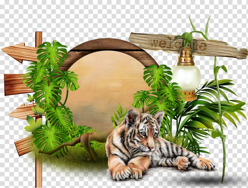 Tiger Felidae Man Big cat CanalBlog, tiger transparent background PNG clipart