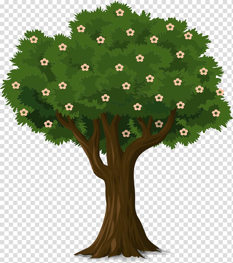 Tree planting Trunk , love tree transparent background PNG clipart