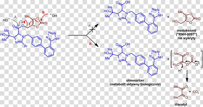 Olmesartan Angiotensin II receptor blocker Prodrug Telmisartan Amlodipine, others transparent background PNG clipart
