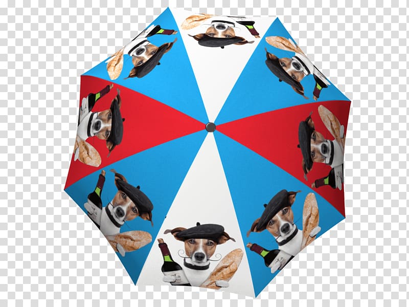 La Bella Umbrella Gift shop, creative umbrella transparent background PNG clipart