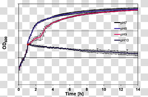 Diagram Line Point Angle, line transparent background PNG clipart thumbnail