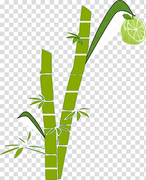 Sugarcane , others transparent background PNG clipart