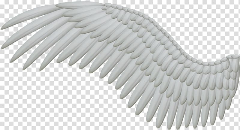 Angel wing Feather , Wings transparent background PNG clipart