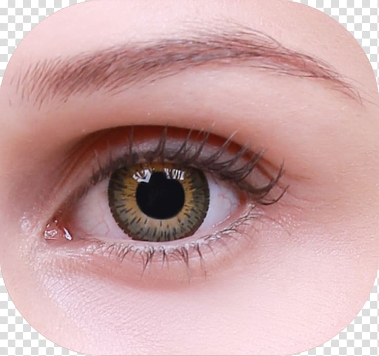 Iris Contact Lenses Eyelash extensions Brown, HAZEL transparent background PNG clipart