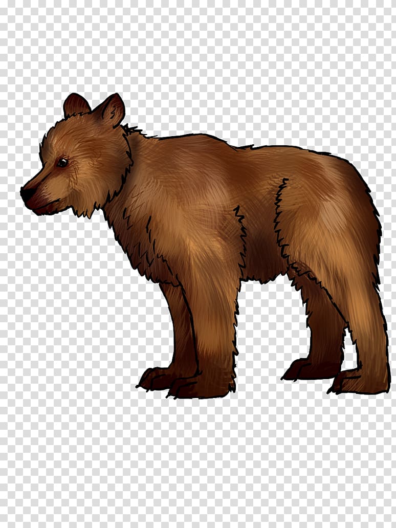 Grizzly bear Dog Shutter speed Film speed Focal length, Dog transparent background PNG clipart