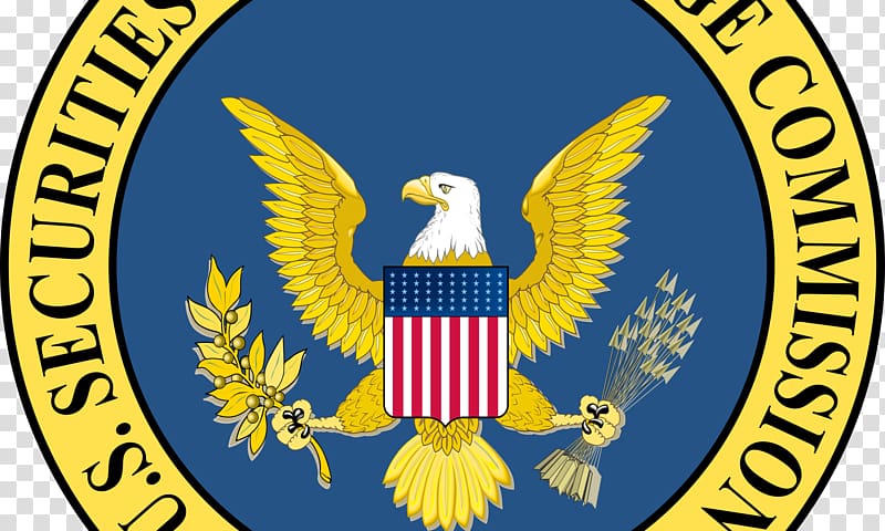 U.S. Securities and Exchange Commission Security exchange Federal government of the United States, unauthorized transparent background PNG clipart