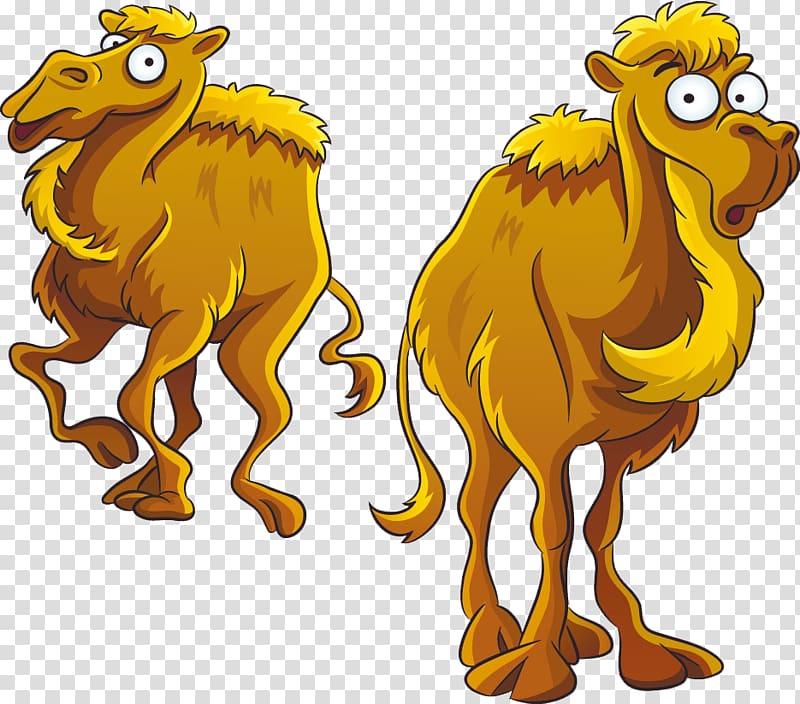 Camel Cartoon , Cartoon camel transparent background PNG clipart