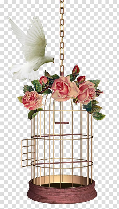 Birdcage Domestic pigeon Domestic canary, Bird transparent background PNG clipart