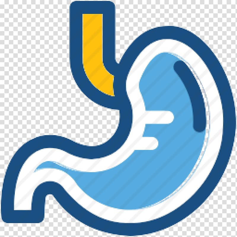 Computer Icons Digestion Stomach Human digestive system, others transparent background PNG clipart