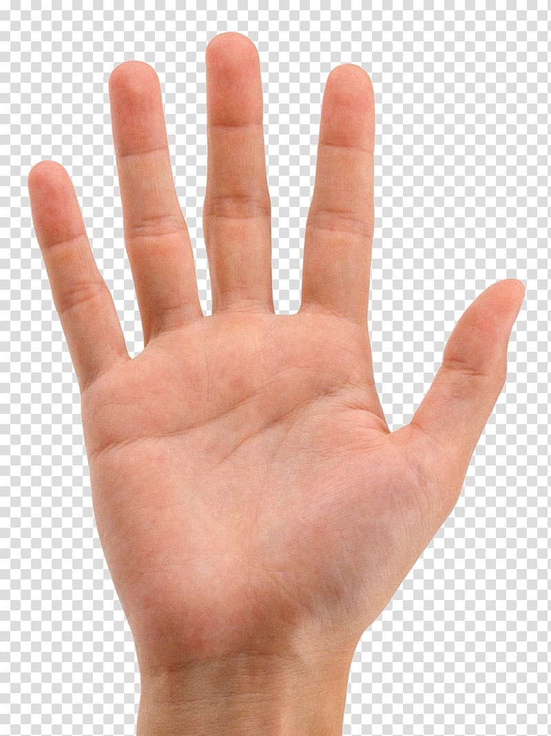 Finger Hand Digit Line, mao transparent background PNG clipart