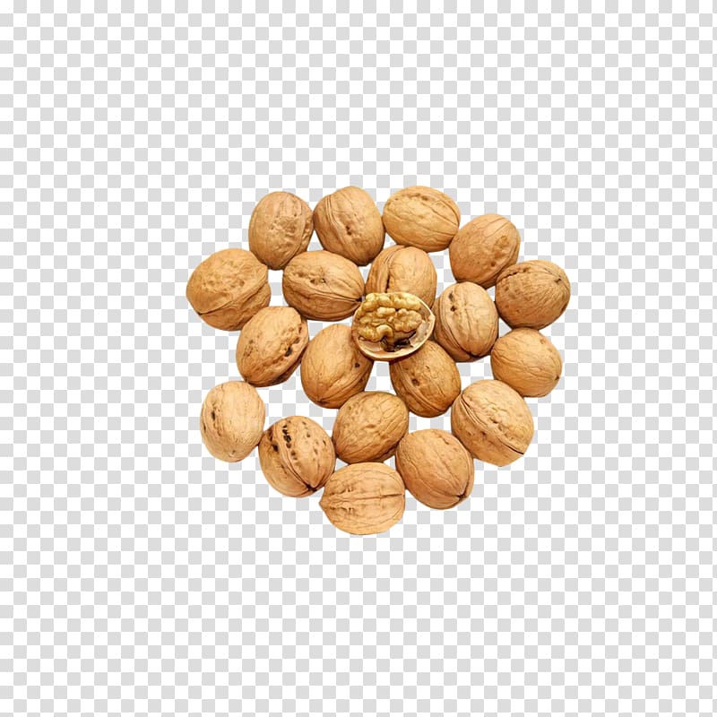 Walnut Euclidean , Walnut transparent background PNG clipart