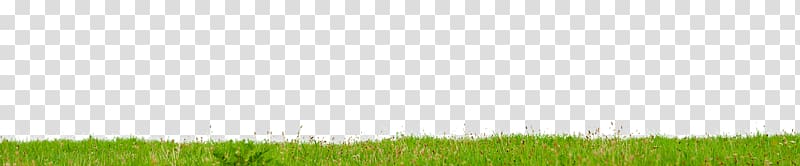 Crop Lawn Grassland Land lot Grasses, field transparent background PNG clipart