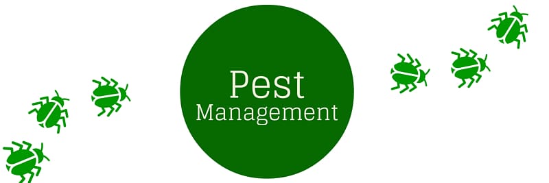 Houseplant Integrated pest management , Potted Plants transparent background PNG clipart