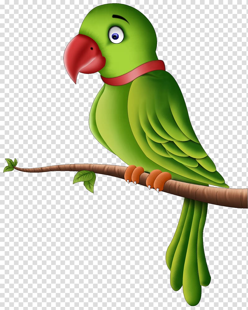 Rose-ringed parrot illustration, Parrot , Parrot Pic transparent background PNG clipart