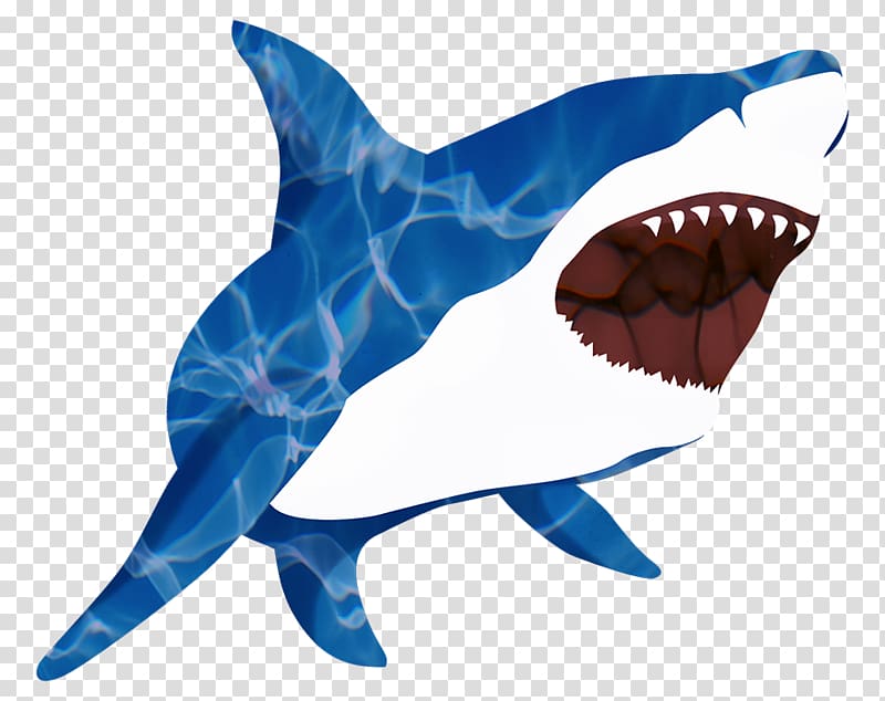 Great white shark Isurus oxyrinchus Shark tooth Requiem shark, BABY SHARK transparent background PNG clipart