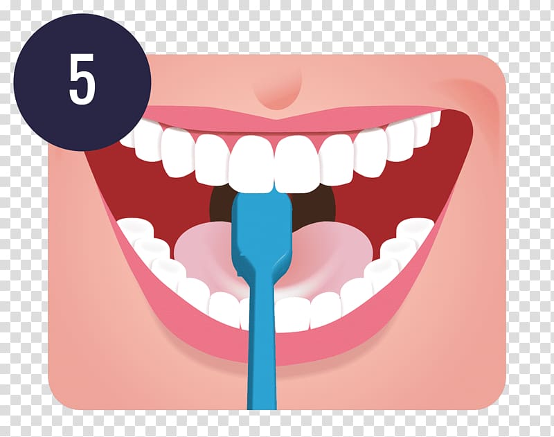 Tooth brushing Dentistry Human tooth Teeth cleaning, Tooth Brush transparent background PNG clipart