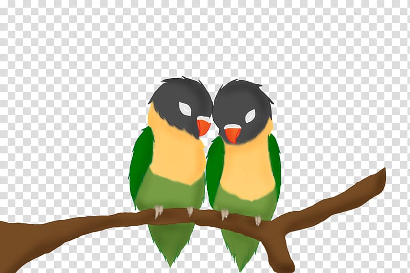 Yellow-collared lovebird Parrot Drawing Painting, love birds transparent background PNG clipart